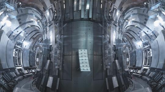 Inside A Fusion Reactor