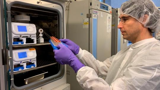 Organ-Chip-Team_Amir-Bein-checking-chips