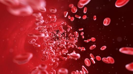 Blood cells, illustration