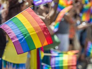 Close-Up Of Rainbow Flag With Crowd In Background During Parade