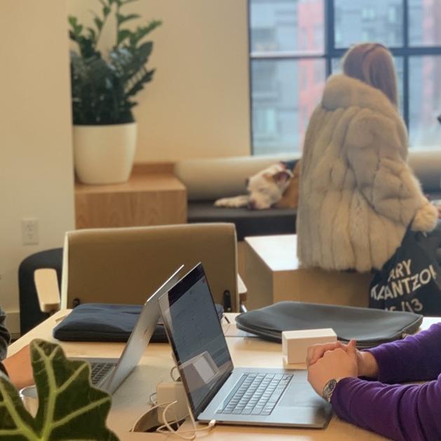 OneDesk office