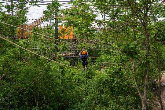 Hex Tower Treetop Zipline