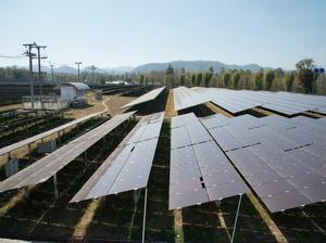 View of solar farm in sunlight with blue sky, dirty solar cell  array, green energy concept.