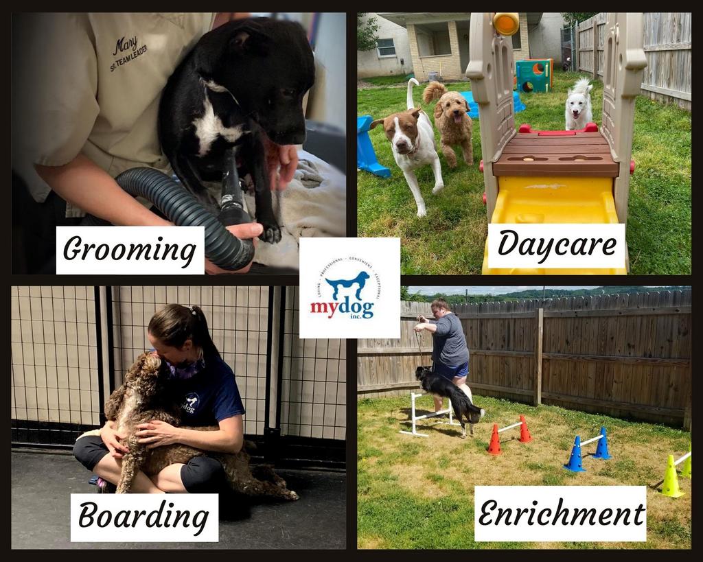 My Dog's Care Center BizSpotlight - Pittsburgh Business Times