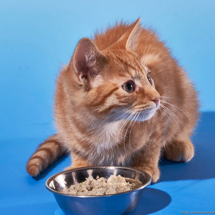 SMALLS, MATT MICHAELSON: The Purrfect Food — RADICHE