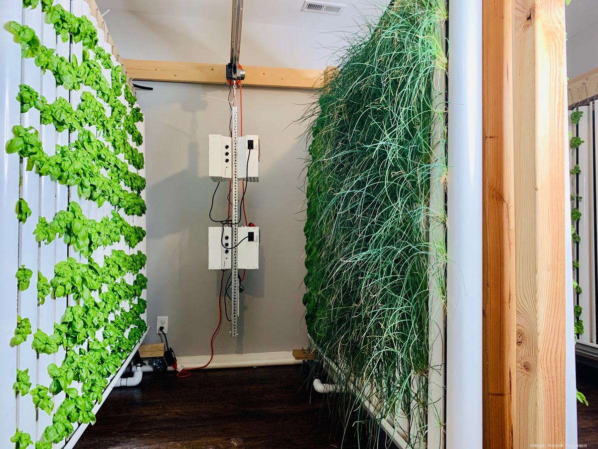 Richmond Inno Nouveau Farms Hydroponic System Produces Fresh Flavorful Fruit And Herbs