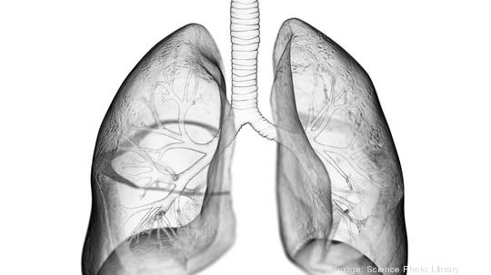 Lung, illustration