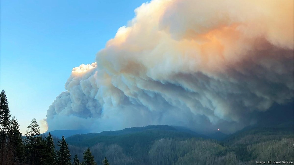fire-and-smoke*1200xx1536-863-0-118.jpg