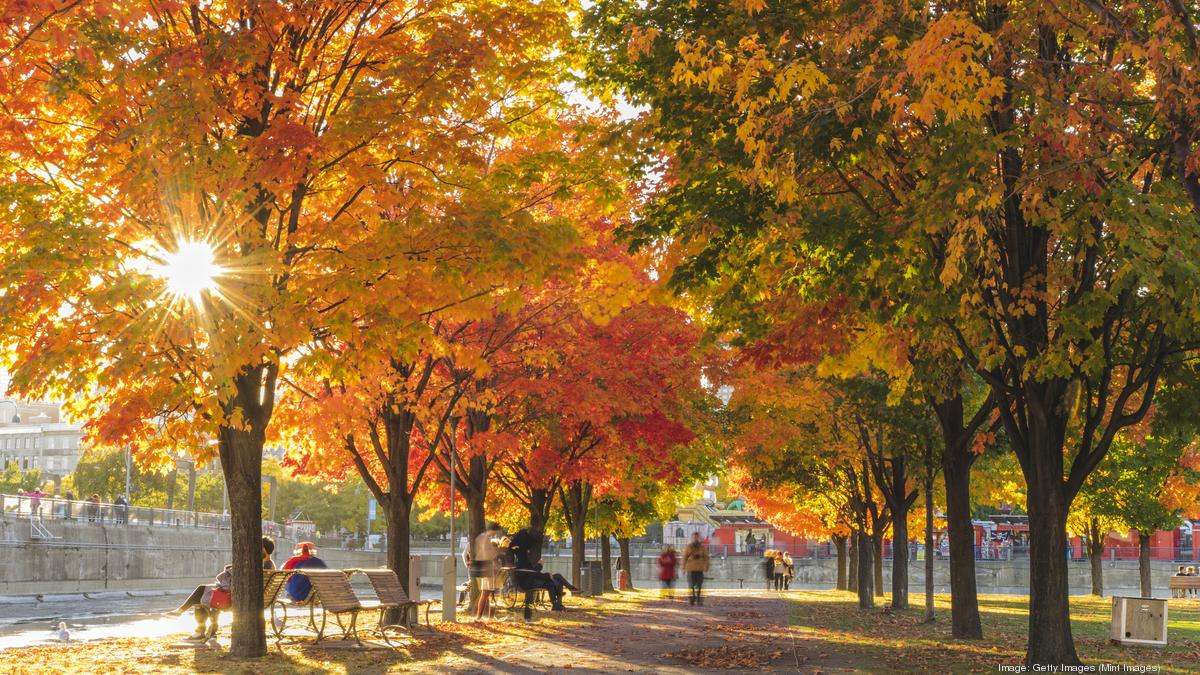 What will autumn bring to our work-from-home adventure? - Wichita ...