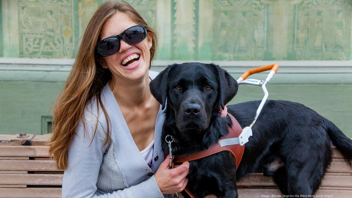 guide dog for blind dog