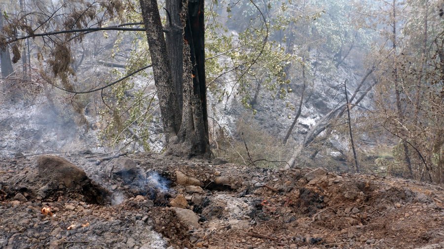 Wildfires Scotts Mills Butte Creek Rd 2020 0964