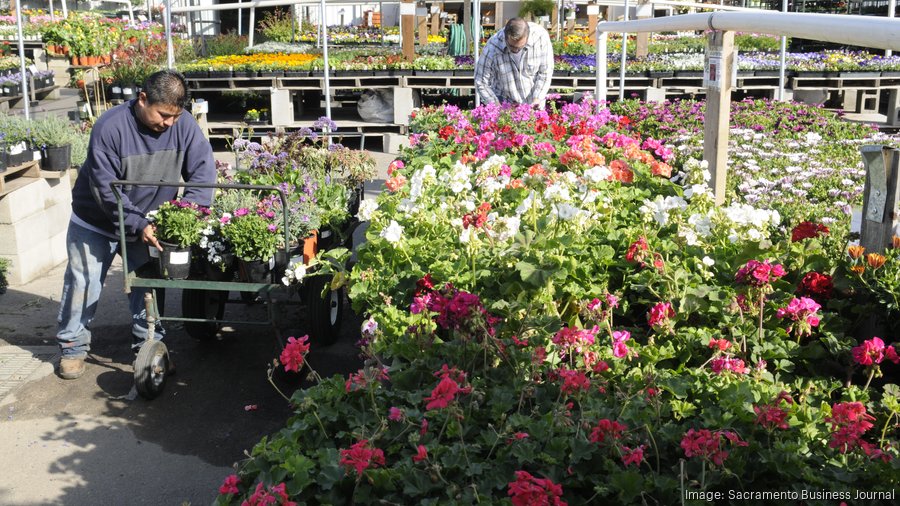 Green Acres Nursery To Buy Land On Galilee Road In Roseville Sacramento Business Journal