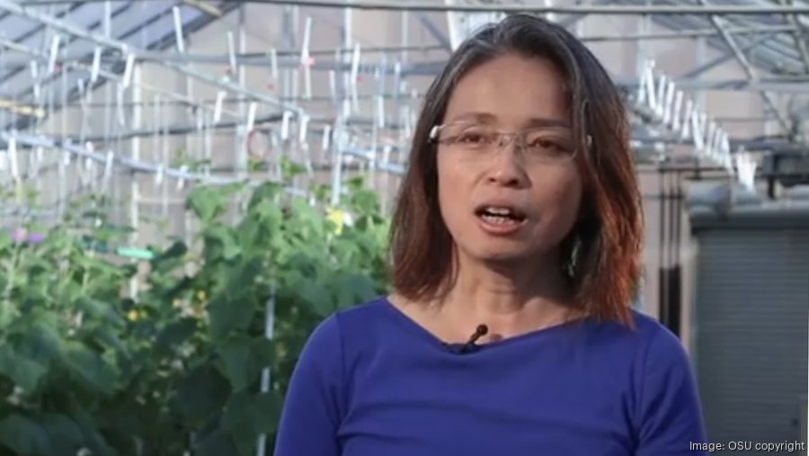 GE Current donating 272 lighting fixtures to Ohio State University