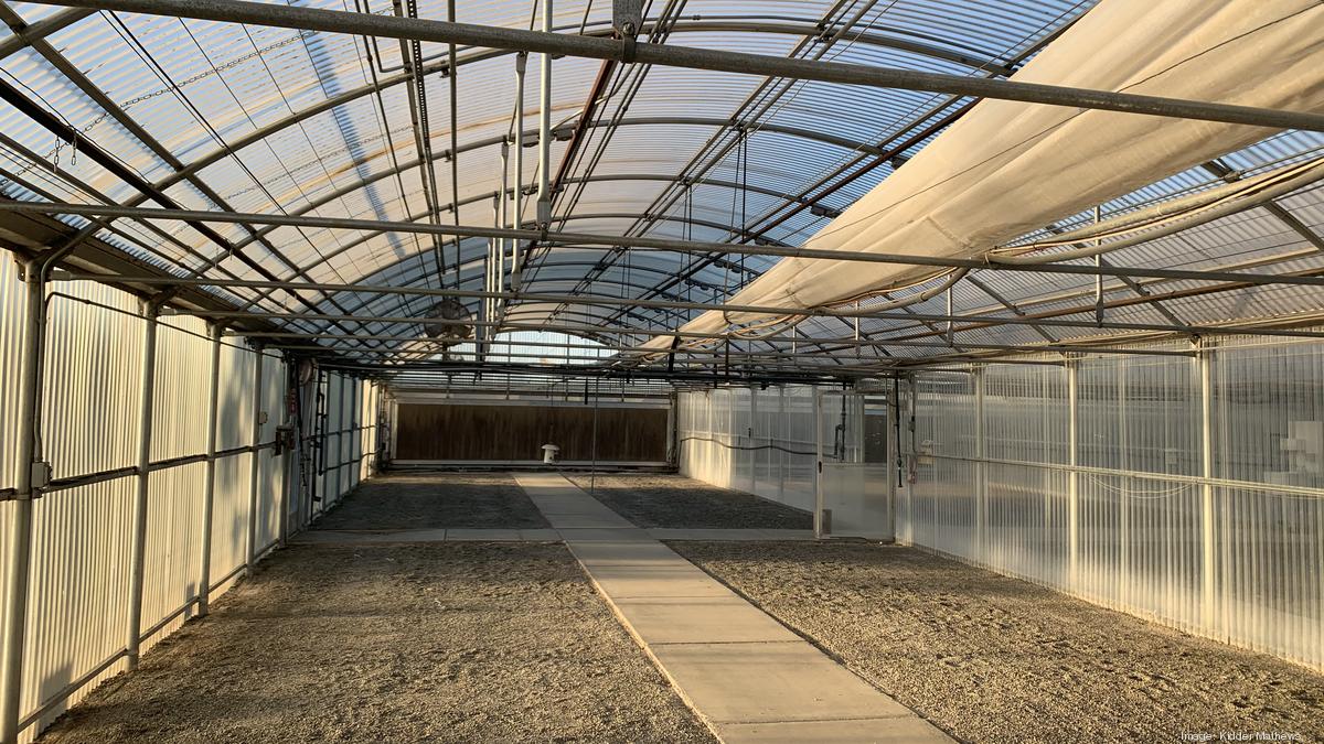 University of California selling Davis greenhouse, seed research