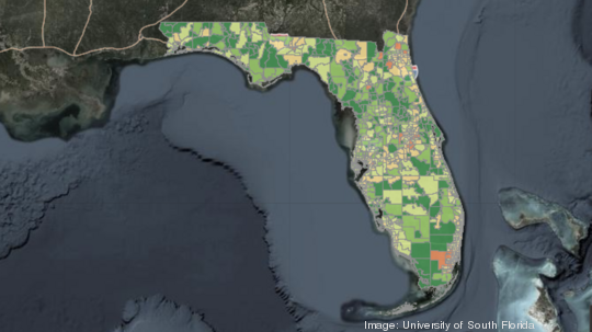 USF coronavirus zip code map