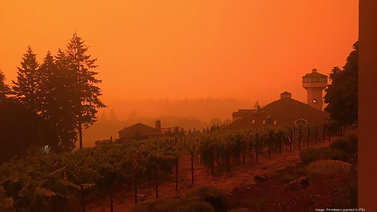 Why Willamette Valley vineyards aren't panicking about wildfire smoke