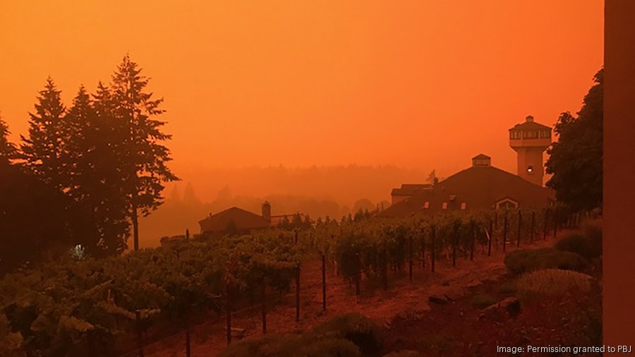 Willamette Valley Vineyards sues PacifiCorp over 2020 wildfire smoke