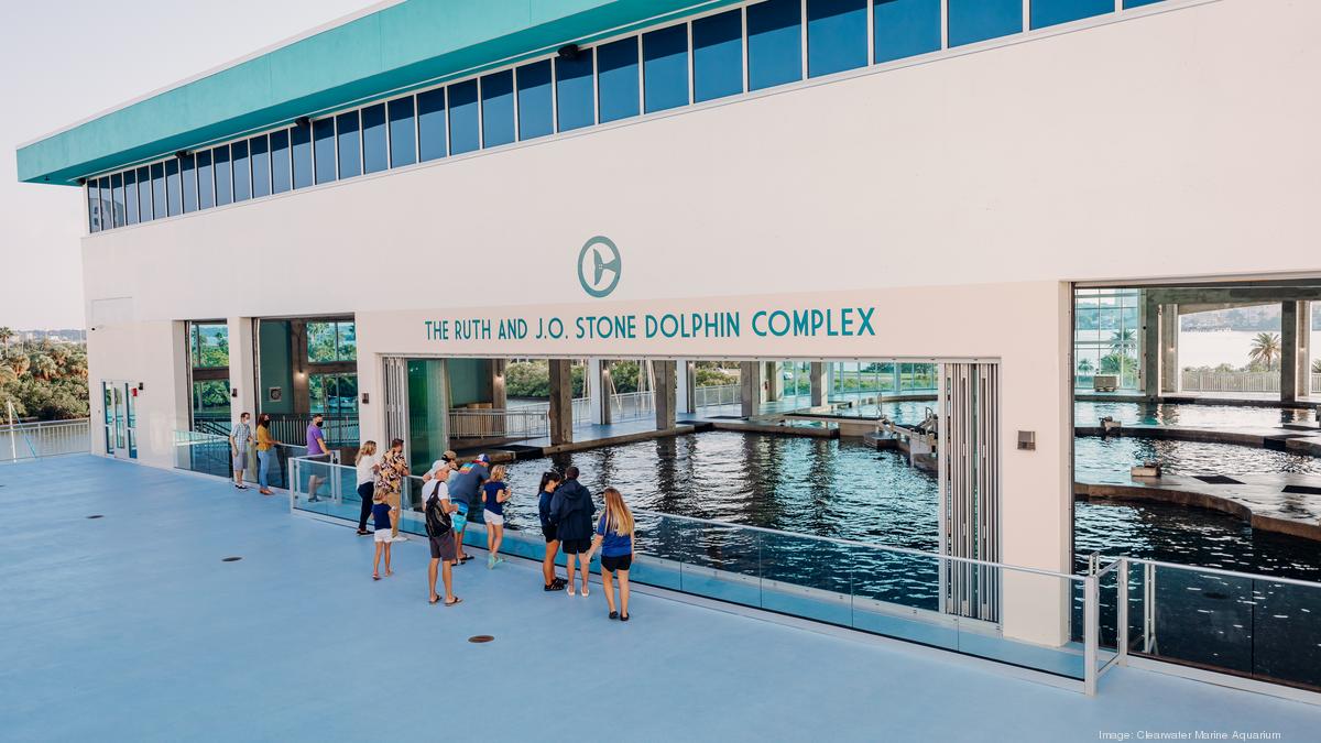 Clearwater Marine Aquarium unveils new viewing area, cafe as part of