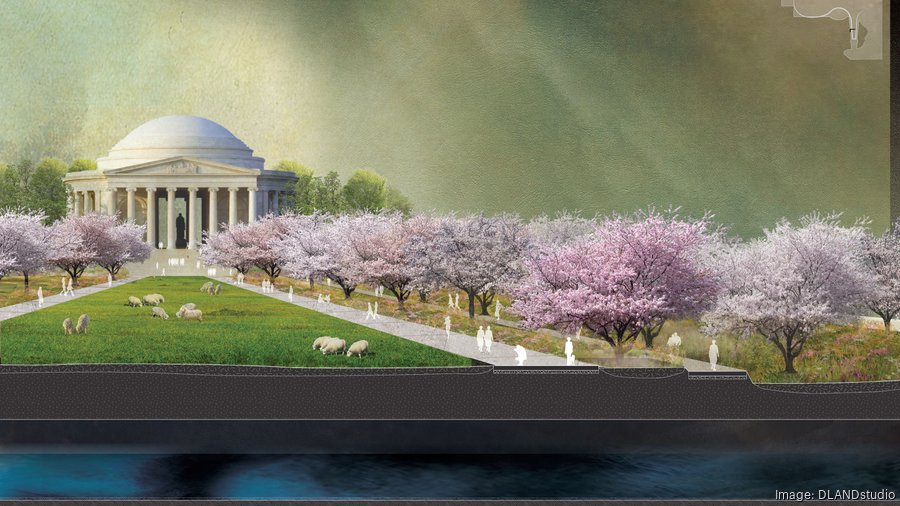 Climate Change & Washington DC's Cherry Blossoms