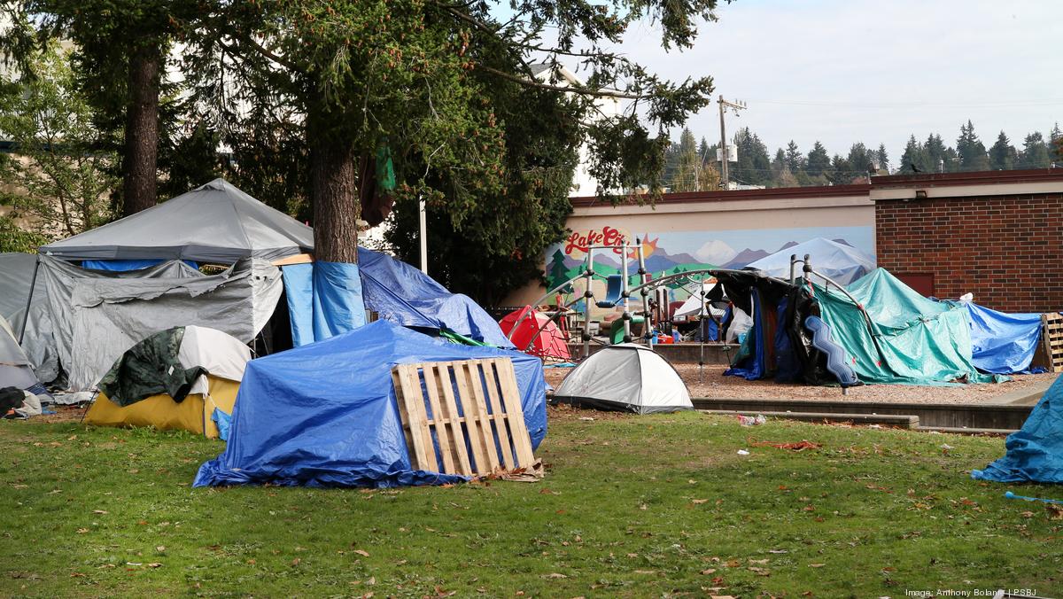 Public safety, health crises make some Seattle parks unusable - Puget ...