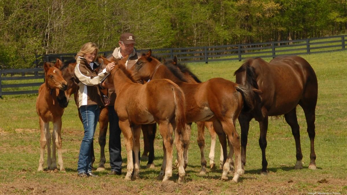 From planes to manes In retirement, FedEx's top lawyer, Ken Masterson