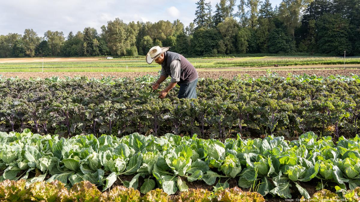 Organic food distributor Organically Grown starts Mission Fund for community investment