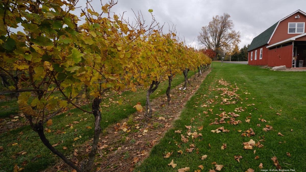 Niagara County's Honeymoon Trail Winery is up for sale for 920,000