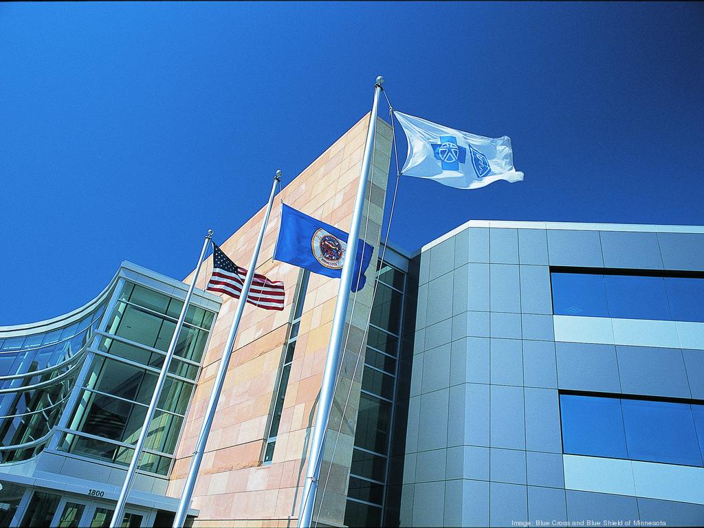 Blue Cross and Blue Shield of Minnesota Company Profile The Business
