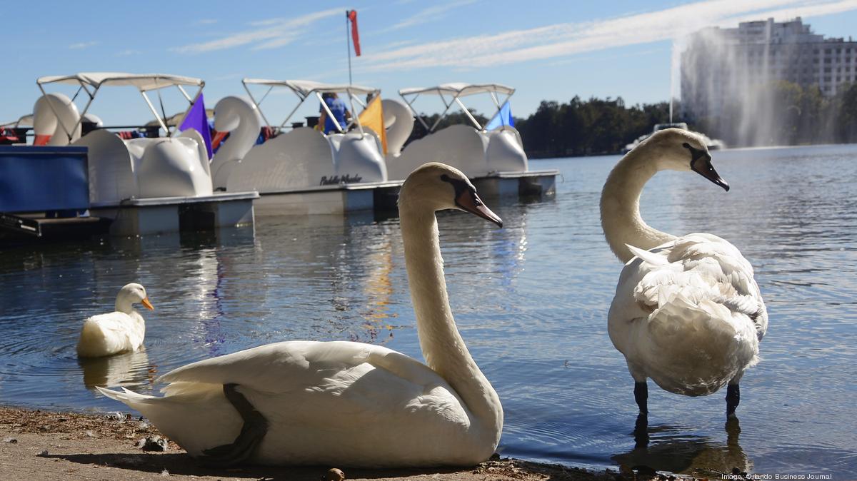 Covid causes downtown Orlando swan boat sales, parking fees to fall