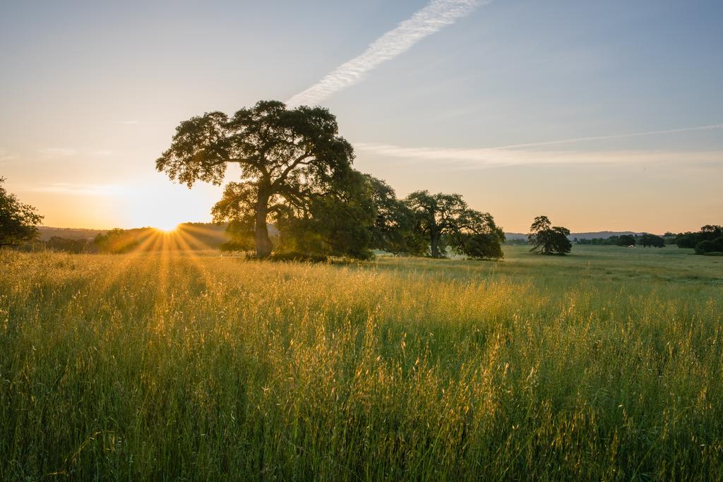 Oaks Eternal Preserve (Green Burial) BizSpotlight Sacramento