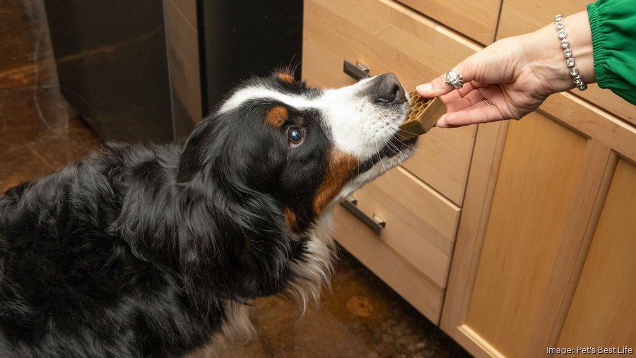 Greenies inventor creates next innovation Yummy Combs Kansas City