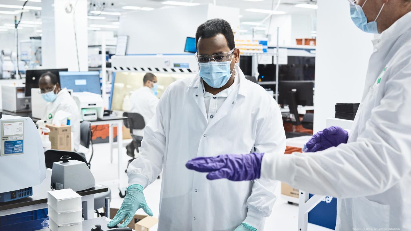 BostInno Inside Ginkgo Bioworks' efforts to dramatically scale Covid