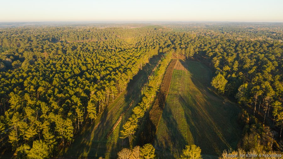 Three Notch quail hunting plantation hits the market for 17.5M