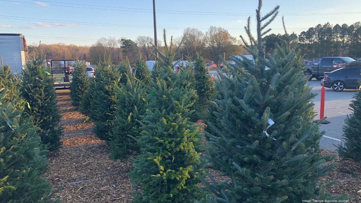 Biz Christmas trees are scarce, prices way up; Spoonflower apologizes