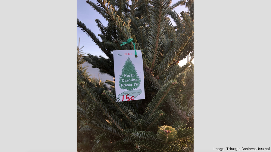 Biz Christmas trees are scarce, prices way up; Spoonflower apologizes to Hindus over napkin