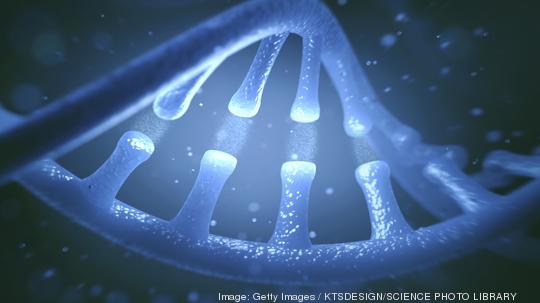 DNA molecule, illustration