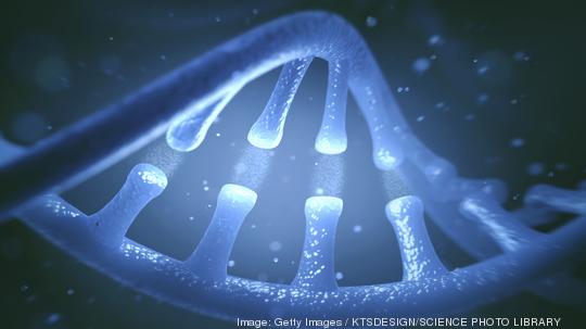 DNA molecule, illustration