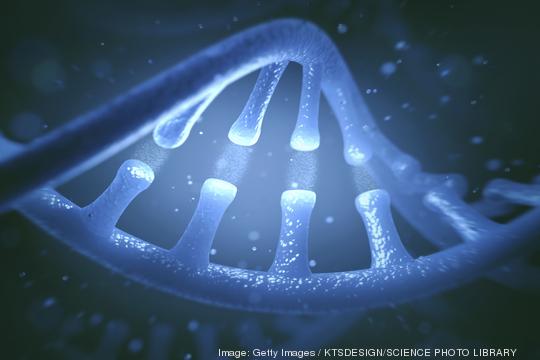 DNA molecule, illustration