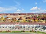 the laurel apartments golden valley