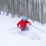 Late snows didn't completely save Vail's ski season, but its strategy may have