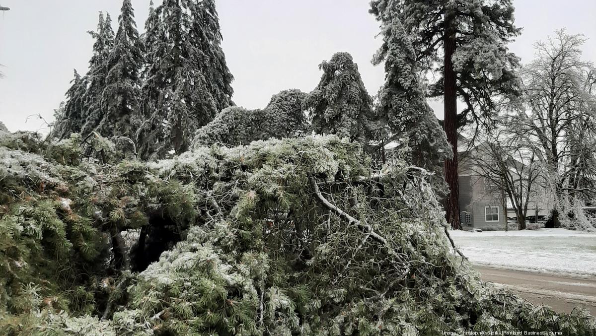 Portland ice storm-damaged businesses can recoup lost sales - Portland ...