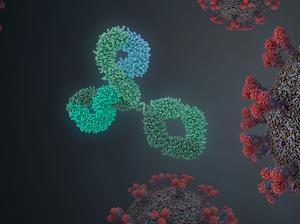 Antibodies attacking virus, illustration