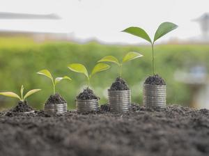 Step of coins stacks with tree growing on top, nature background, money, saving and investment or money planning concept.