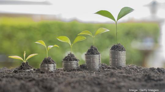 Step of coins stacks with tree growing on top, nature background, money, saving and investment or money planning concept.