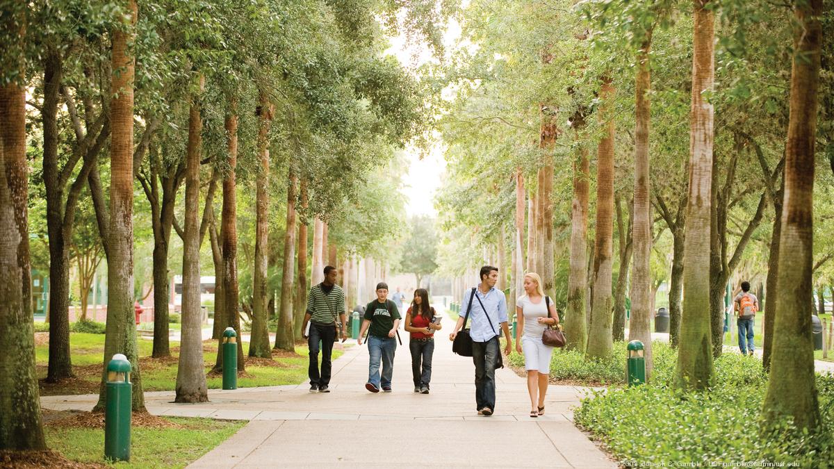 Tampa Bay universities see record breaking highs and lows with fall ...