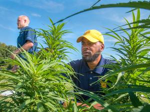 Hemp growers NCA&T