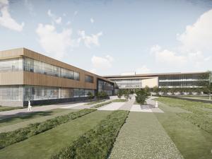 Syngenta Rendering