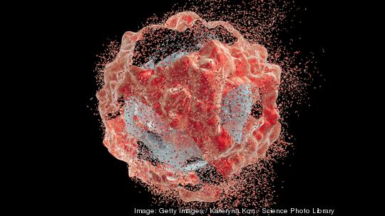 Destruction of a cancer cell, illustration