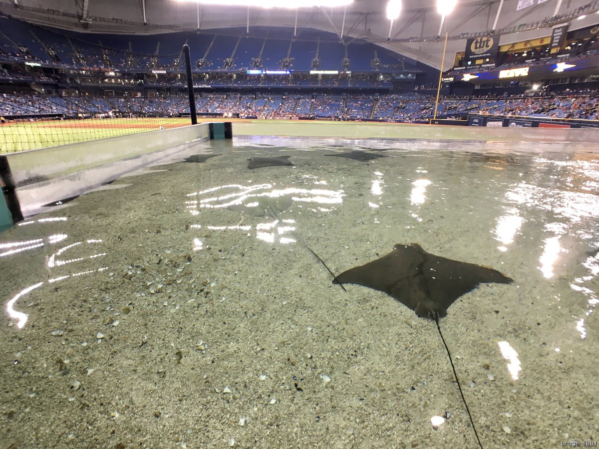 Rays stadium news: Tampa Sports Authority to file report on full and half  season scenarios - Tampa Bay Business Journal