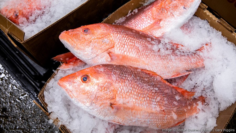American Red Snapper - Seattle Fish Co.